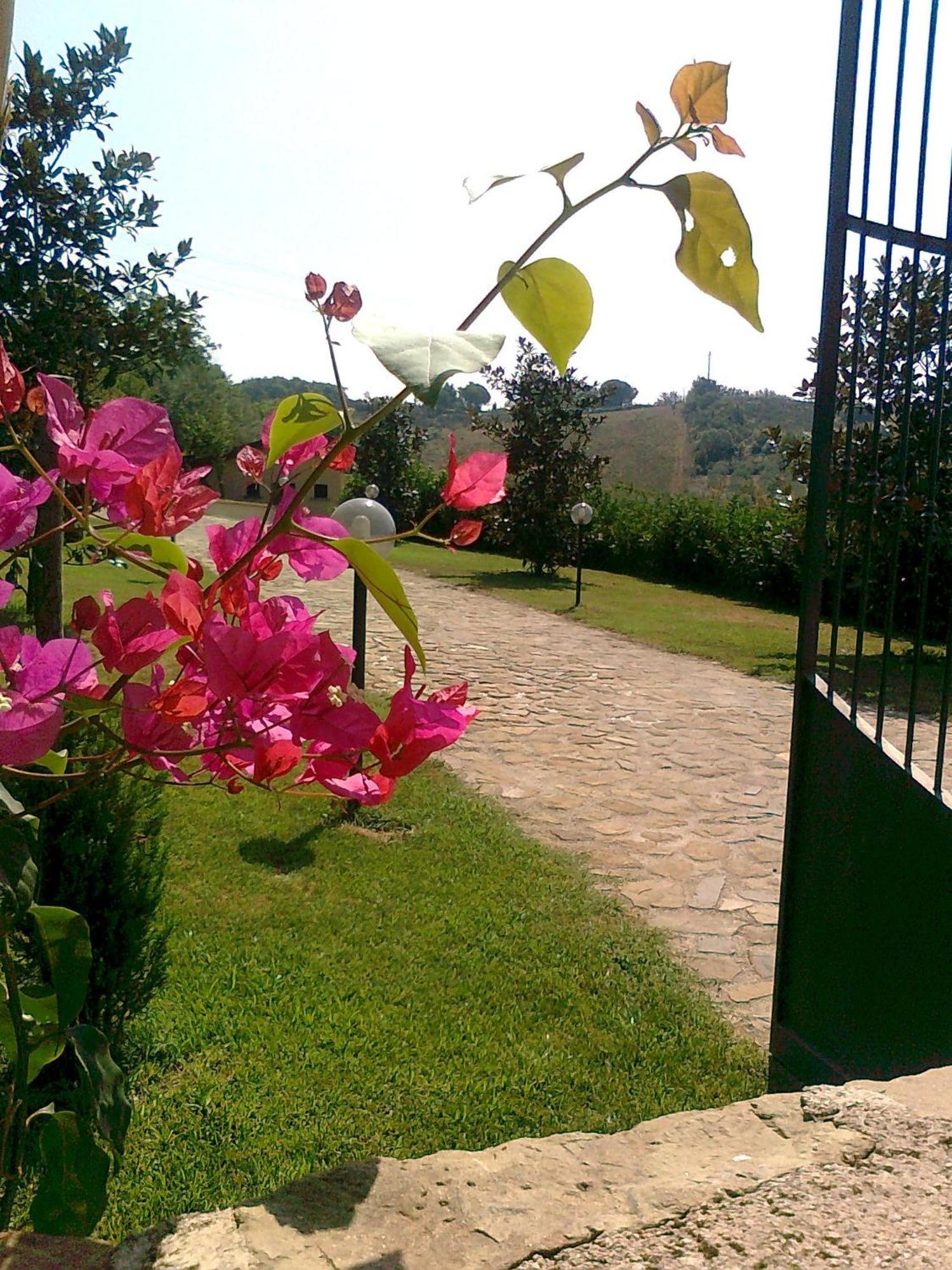알타빌라사일렌티나 Casale Degli Ulivi Prestige B&B 외부 사진